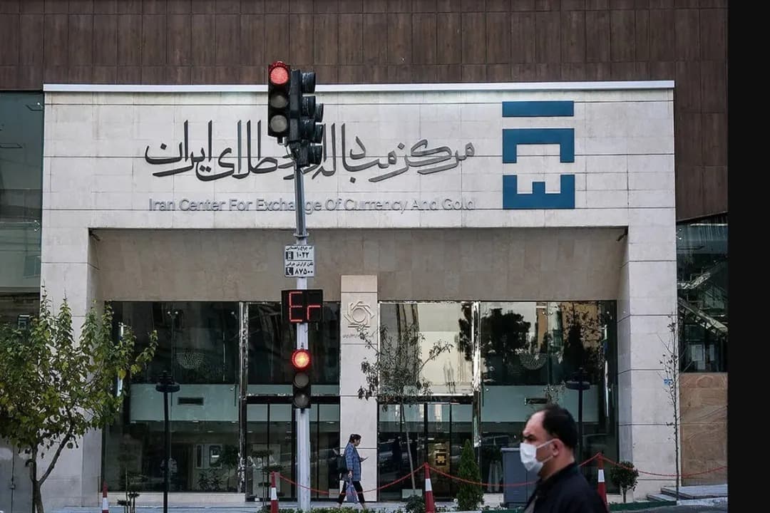 خانه تکانی در بازار رسمی ارز